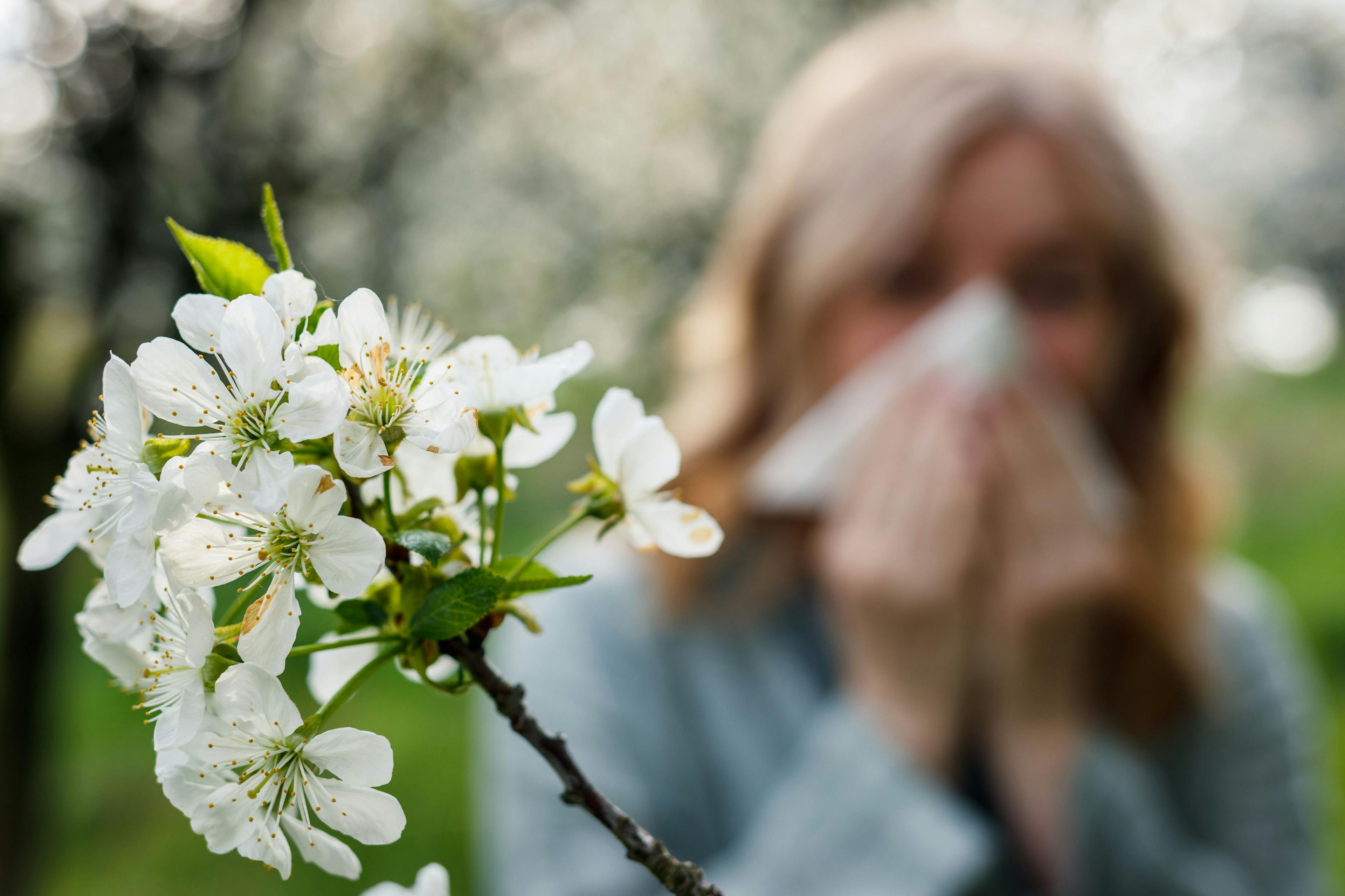 Millions of Americans are living with allergies or asthma. | image credit: encierro - stock.adobe.com