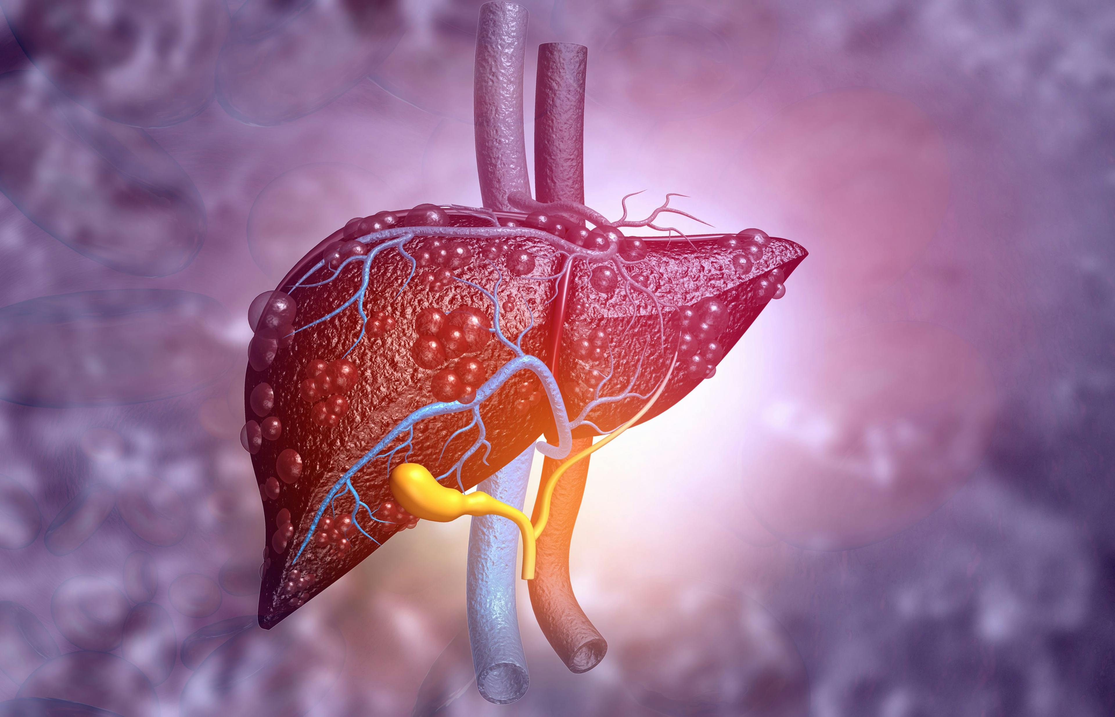 3D illustration of liver / Rasi - stock.adobe.com