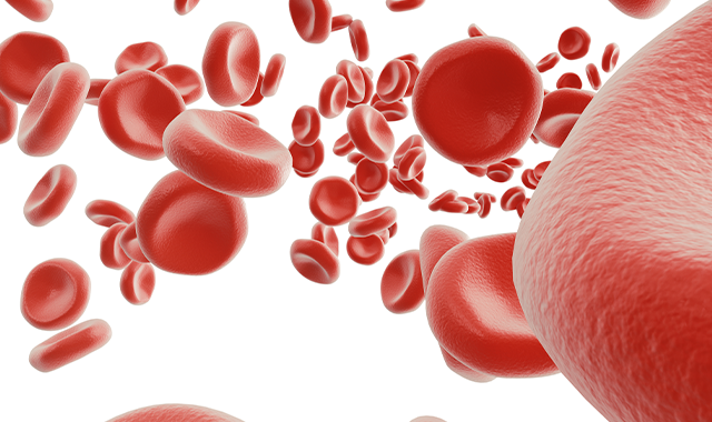 rendering of blood cells on a white background