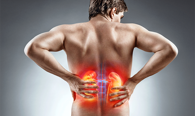 many holding sides from kidney pain