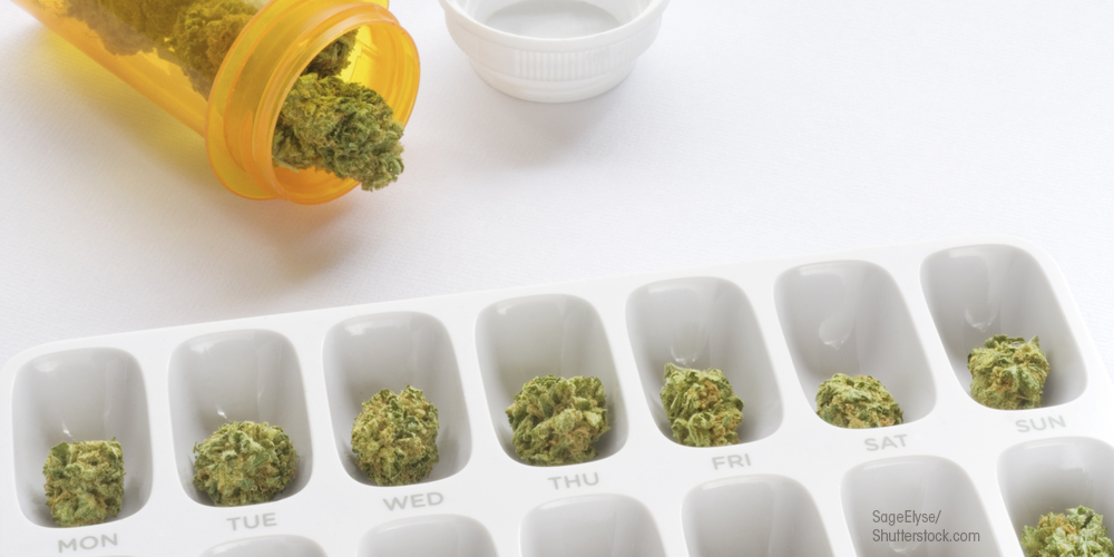 Prescription Counseling Equally Applicable to THC Products