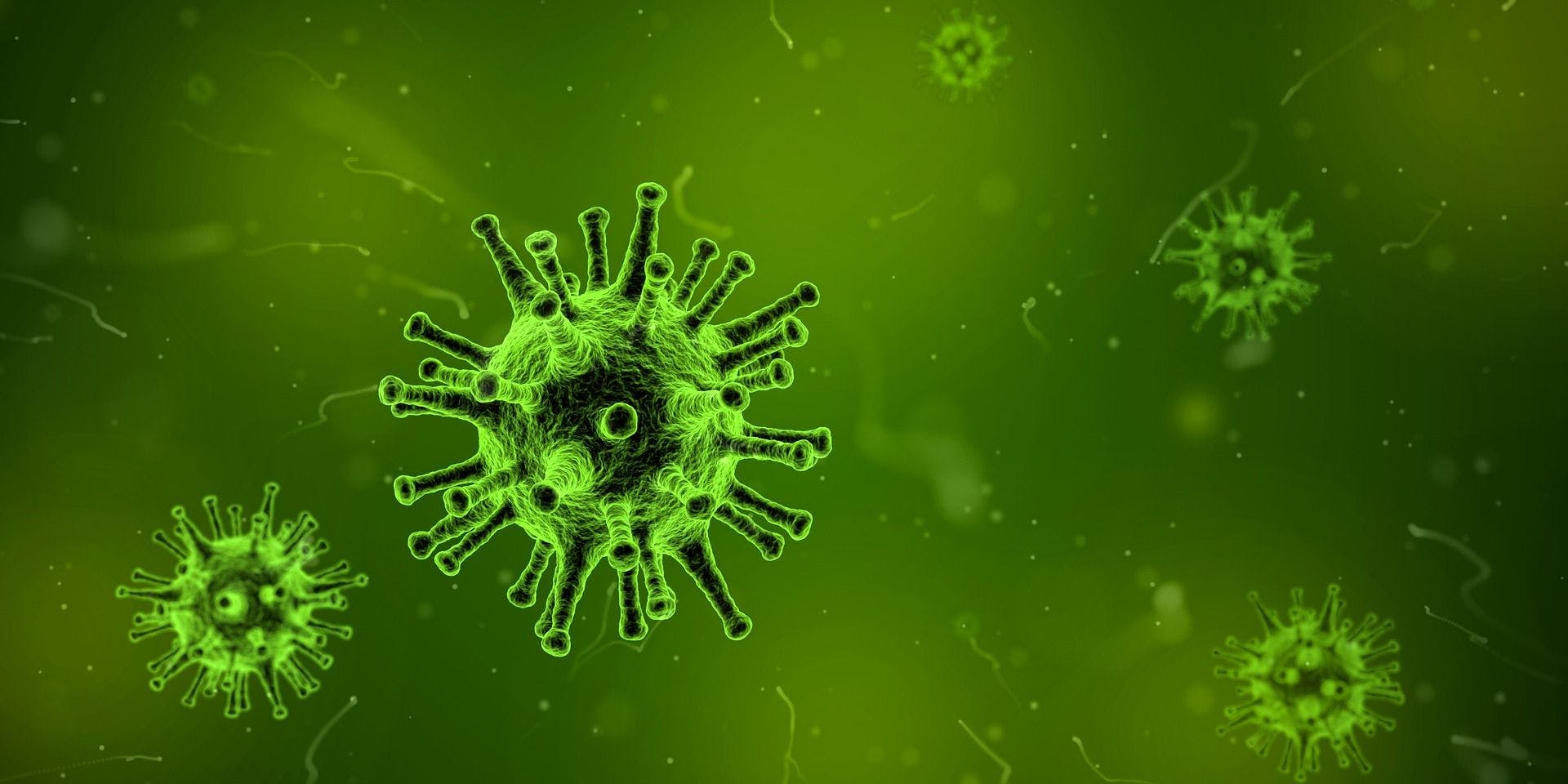 Study Shows Baloxavir Marboxil May Prevent Influenza Infection
