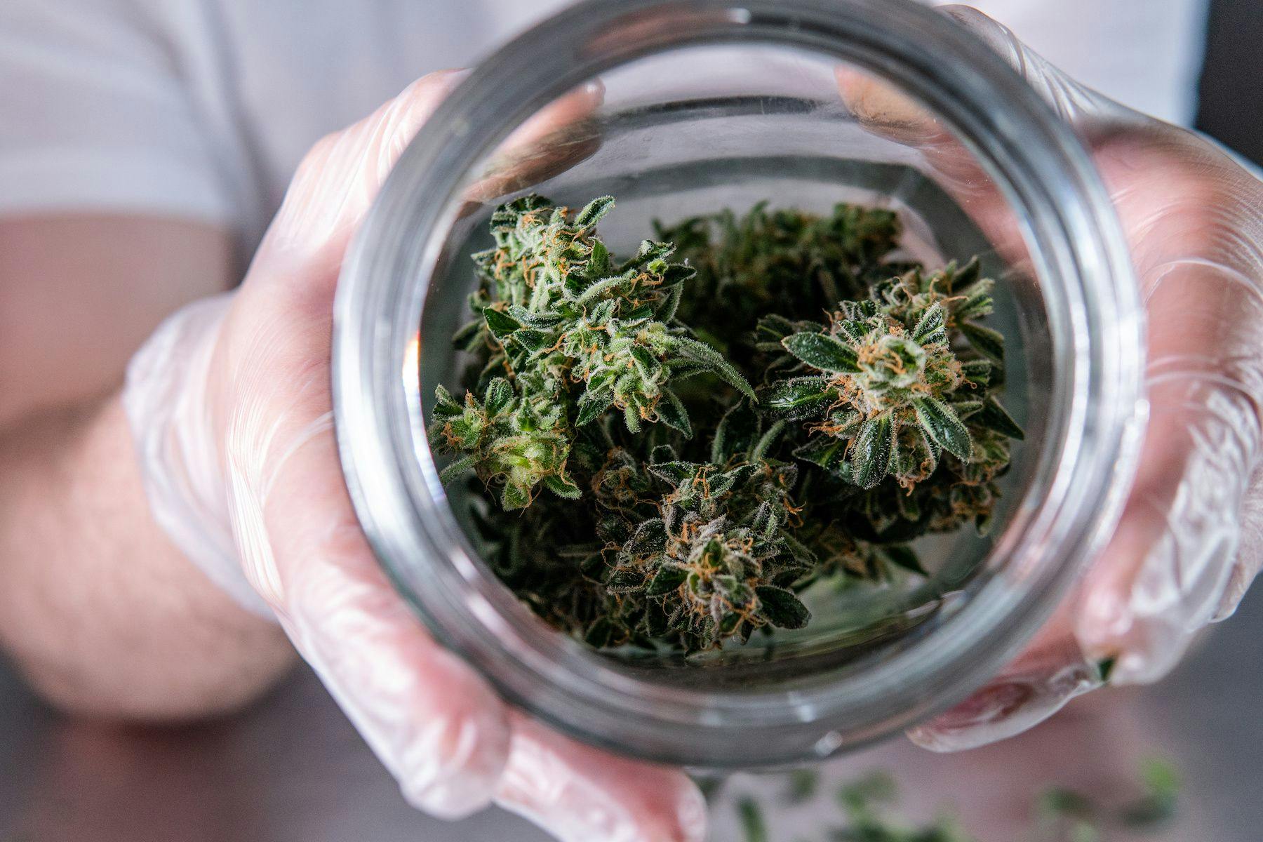 jar of marijuana at a dispensary