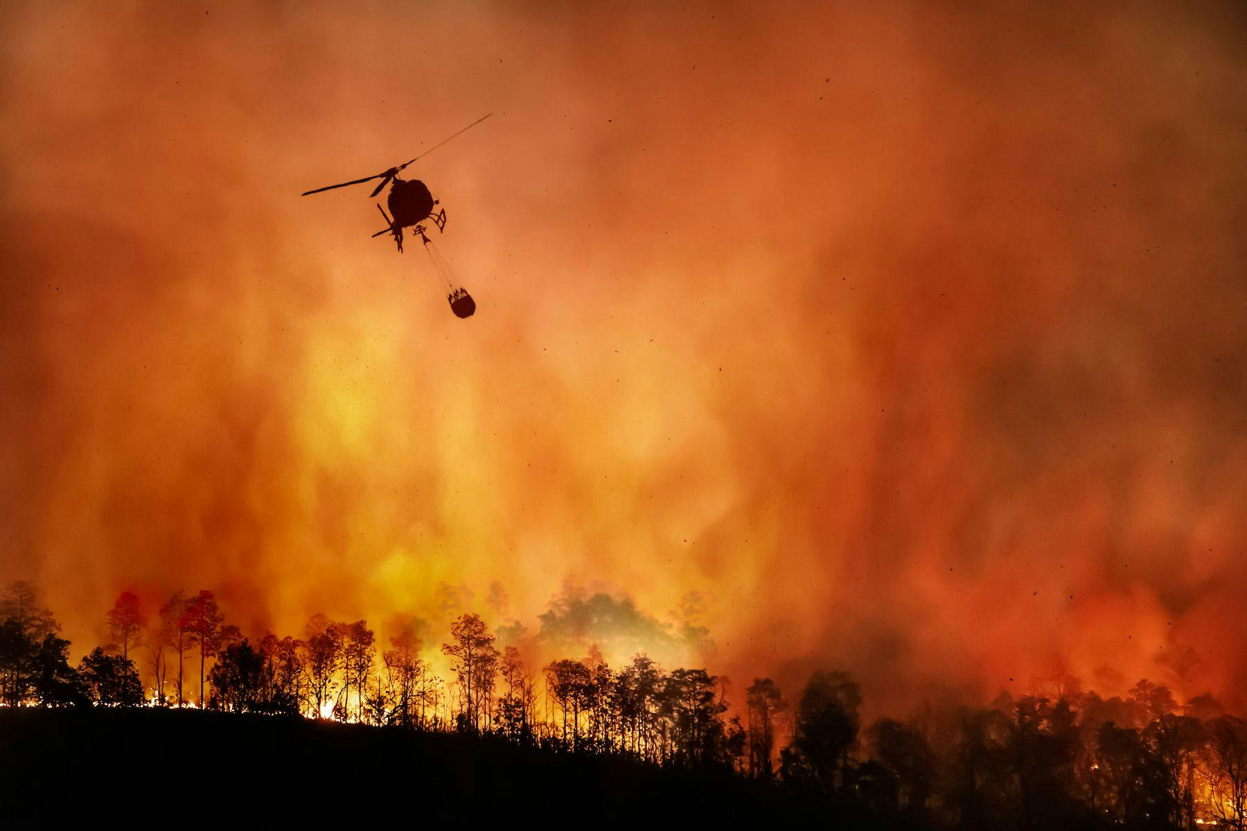 Researchers found a significant increase in psychotropic medication prescriptions in California metropolitan statistical areas affected by wildfires. | image credit: toa555 - stock.adobe.com