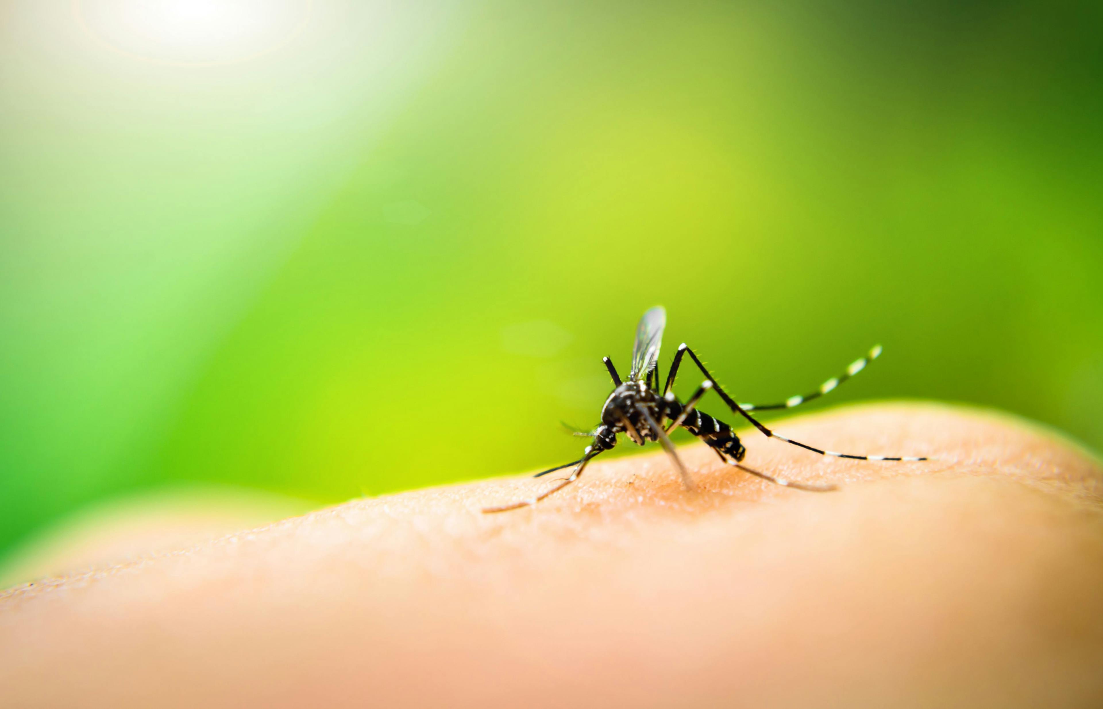 Chikungunya Vaccine for Adolescents Shows Positive Topline Results in Phase 3 Trial