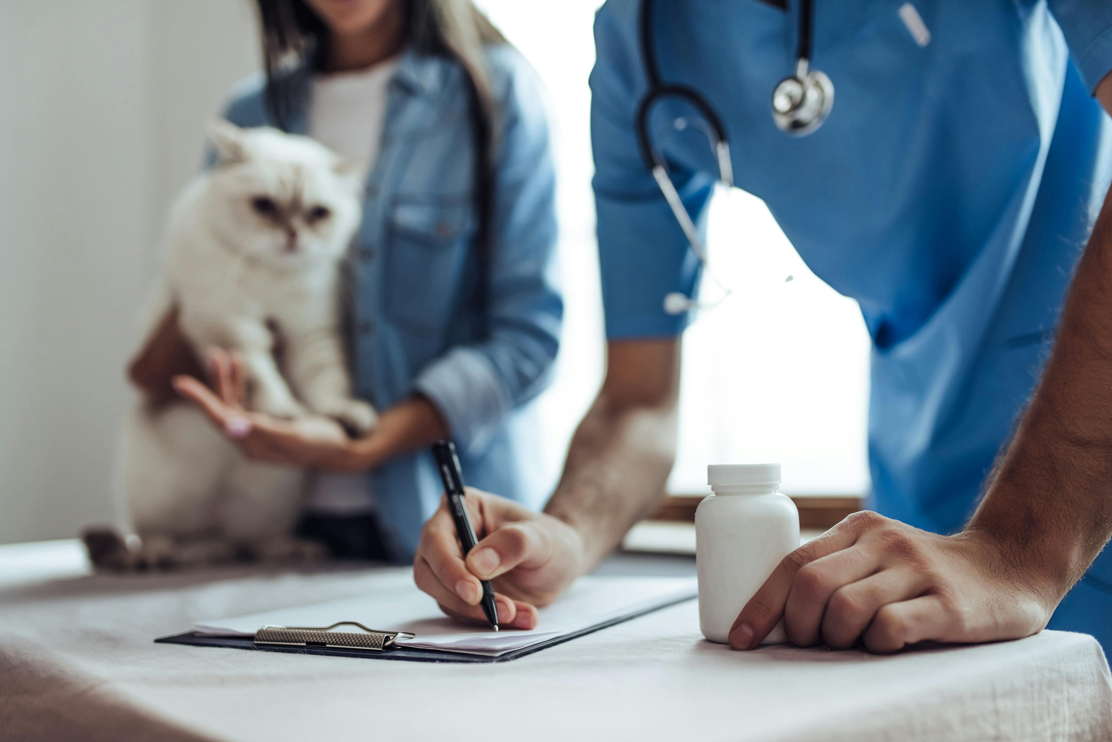 Is E-Prescribing the Future of Veterinary Medicine?