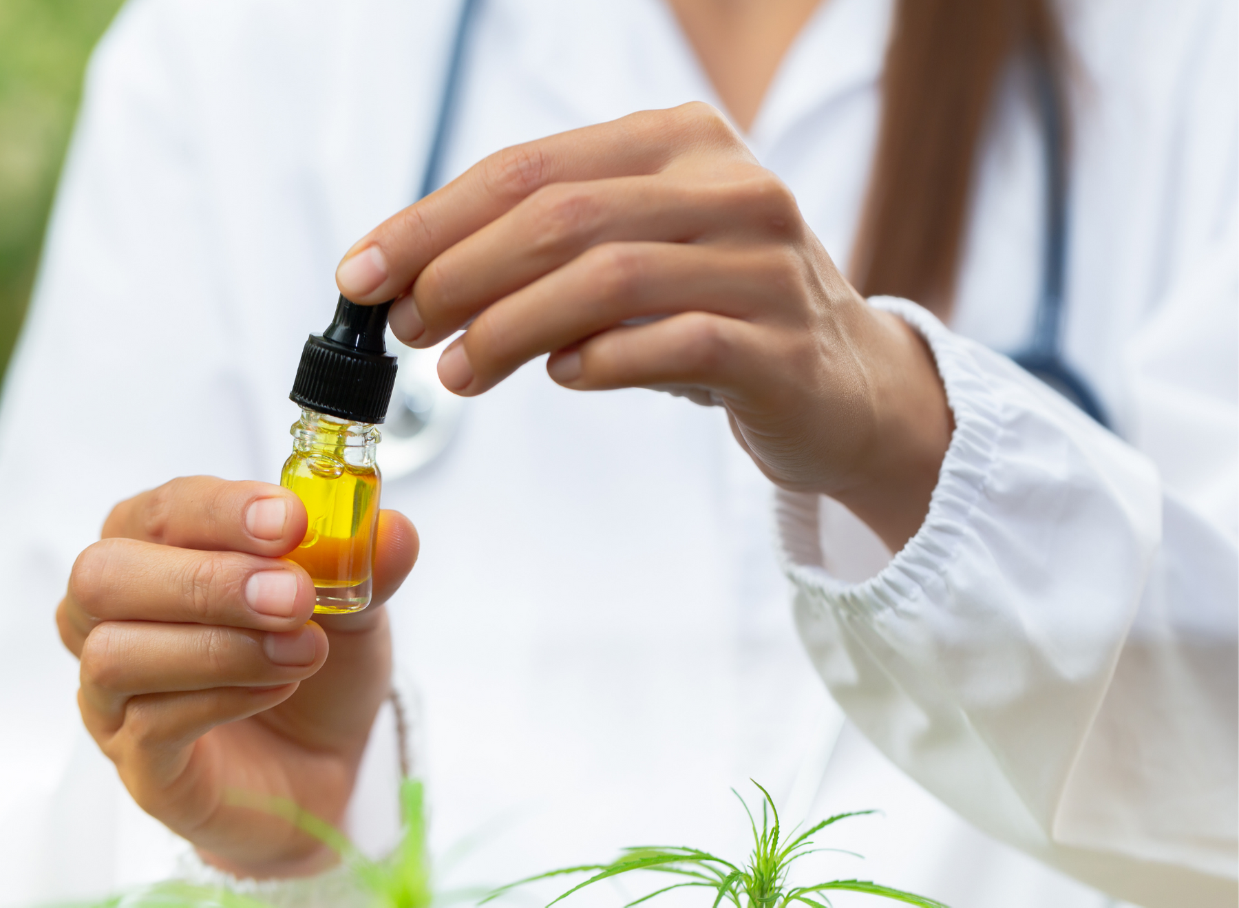 researcher holding CBD product