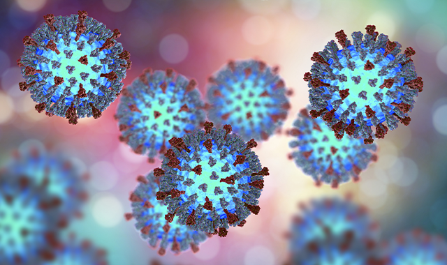 measles viruses digital representation