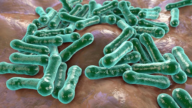 What Is The Link Between Antidepressants and Hospital-Acquired Clostridium Difficile Infection? 