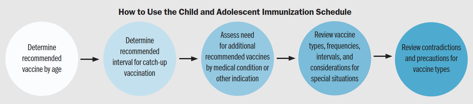 How to Use the Child and Adolescent Immunization Schedule