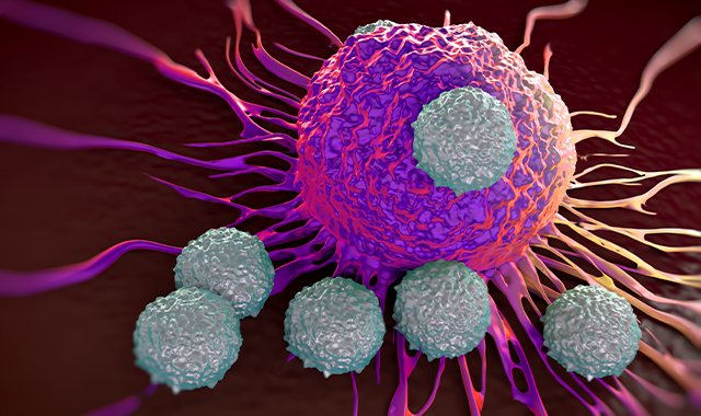 T cells Attacking Cancer Cells_90793182