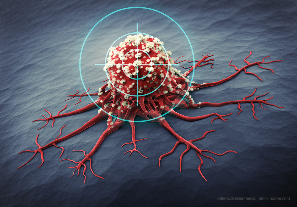 Targeting cancer cells