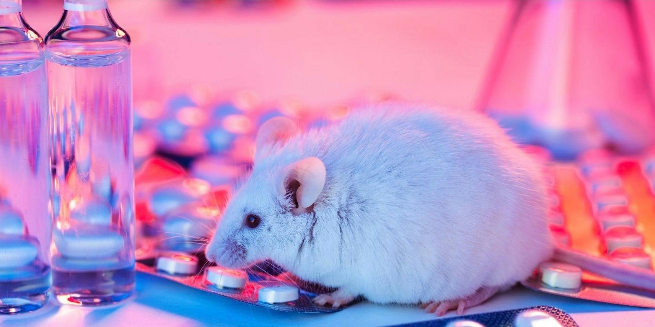 mice study 